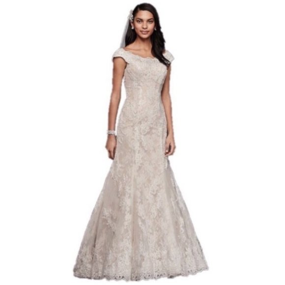 Oleg Cassini Dresses & Skirts - Oleg Cassini Ecru | Ivory/Champagne All Over Lace Wedding Dress Size-6